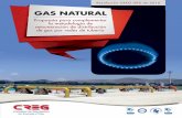 GAS NATURAL - Comisión de Regulación de Energía y Gas natural... · Presentación 4 Comisión de Regulación de Energía y Gas -CREG- Comisión de Regulación de Energía y Gas