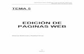 INDICE PAGINAS WEB - Área de Arquitectura y Tecnología ...atc2.aut.uah.es/~juani/documentos/tema6.pdf · Sistemas Multimedia y Realidad Virtual Pagina 1 . ... destacando los sitios