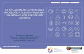 LA SITUACIÓN DE LA PATOLOGÍA ONCOLÓGICA PLEURO … · Número de cánceres de pulmón en España en 2002 atribuidos a exposiciones laborales según las estimaciones publicadas.