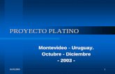 PROYECTO PLATINO - Proyecto Latinoamericano de ...platino-alat.org/docs/ap_uy_2.pdf · considere. 16/01/2005 12. ... El momento emotivo de la fiesta fue cuando todos los técnicos