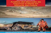 ESTUDIO DE COCHILCO Análisis del Mercado de Insumos ...mineriachile.com/portafolio/05insumos.pdf · La criticidad está en función del riesgo de desabas- ... presas proveedoras,