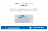 Provincia de Salta - observatorio.gov.ar · Salta Marzo 2016 Informe estadístico y geográﬁco ... parte de las autoridades provinciales. Una de las perspectivas de la DNOAD es