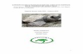 CONSERVACIÓN E INVESTIGACIÓN DE TORTUGAS … · La tortuga lora es la especie más abundante de tortuga marina en Costa Rica y de hecho, en el mundo. Junto con la tortuga golfína