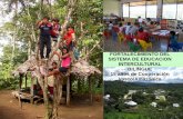 FORTALECIMIENTO DEL SISTEMA DE EDUCACION … · 2 2000 - 2015 -proyecto comprometido con la educacion de los pueblos originarios de la amazonÍa ecuatoriana (kitwas, shuar, achuar,