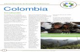 Informe Resumido de Resultados Preliminares Colombia · participando en la Iniciativa de Resiliencia de Conservación Comunitaria ... emprendió un proyecto de bordado, ... participación