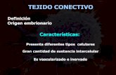 TEJIDO CONECTIVO - anatomiamicrovet.files.wordpress.com · FIBRAS: •Colágenas • ... TIPOS DE COLÁGENOS COLÁGENO TIPO I Dermis, huesos, dentina, tendones COLÁGENO TIPO II Cartílagos
