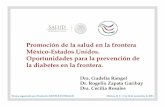 Promoción de la salud en la frontera México-Estados Unidos ...fondonutricion.org/nestle/phocadownload/Videos-Bienal-2014/4... · hábitos alimenticios adecuados y crear un platillo