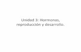 Unidad 3: Hormonas, reproducciÃƒÂ¯Ã‚Â¿Ã‚Â½n ... VIRTUAL/2M/biologia/II° Medio... · endocrino y la importancia de su funcionamiento en el ... la cual es una hormona