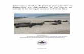 Amenazas y técnicas de manejo para prevenir la … y técnicas de manejo para prevenir la destrucción y/o degradación de las playas de anidaje de las tortugas marinas en Puerto