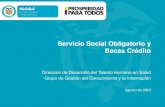 Servicio Social Obligatorio y Becas Crédito - minsalud.gov.co Talento... · Servicio Social Obligatorio (2/11) Avances en 2013 Con el apoyo de la Oficina de TICs, se inició un trabajo