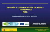 GESTIÓN Y CONSERVACIÓN DE RÍOS Y HUMEDALES RÍOS · Andalucía) 2792 : 63% . 37% . Masas de agua superficial continental Masas de agua superficial en Red Natura 2000 . MEDIDAS