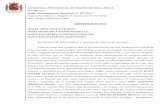 AUDIENCIA PROVINCIAL DE PALMA DE MALLORCAep00.epimg.net/descargables/2013/07/29/4d65194e6d539b414b9bd2f7e4c... · de Sala 107/2011 por los delitos de ... contra D. FELIPE FERRER BRAVO,