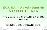 ECA SA –Agroindustria Concordia ––E.R. · “Desafíos y Estrategias para Implementar la Digestión Anaerobia en los Agrosistemas” Buenos Aires – 14 y 15 de mayo de 2007