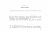 CAPÍTULO I I MARCO TEÓRICO 1. ANTECEDENTES DE LA ...virtual.urbe.edu/tesispub/0089884/cap02.pdf · 22 existen un manual de procedimientos que permita el uso adecuado de las partidas