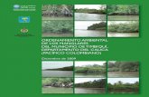ZONIFICACION DE LOS MANGLARES DEL MUNICIPIO DE … · Consejo Comunitario de Cuerval ... E l proceso de ordenamiento ambiental de los manglares en Timbiquí, ... en el cual se identificaron