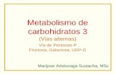 Metabolismo de carbohidratos 3 - bioquiucimed · VÍA DE LAS PENTOSAS-FOSFATO . Vía (shunt) de las pentosas-P •Alternativa (derivación) a la glicólisis •En el citosol •Favorece
