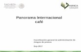 Panorama Internacional café - amecafe.org.mx · • La producción mundial de café, durante el ciclo 2016/17 (setiembre-octubre) se estima en 156.6 millones de sacos de 60 kilogramos