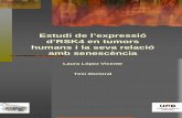 Estudi de l’expressió d’RSK4 en tumors humans i la seva ... · El anillo verde Alberto Vázquez-Figueroa . ... establert el mecanisme exacte d’aquesta activació aquest estudi