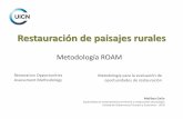 Restauración de paisajes rurales - CBD Home · 2014-12-03 · Elementos centrales para Mesoamérica ... •Debe aportar al bienestar humano y a la recuperación de funciones ...