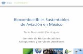 Biocombustibles sustentables de aviación en México · •Enfoque en biocombustibles de segunda generación. – Se elaboran a partir de materias primas no destinadas a la alimentación