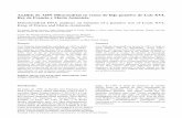 Análisis de ADN Mitocondrial en restos de hijo …rmedicina.ucsg.edu.ec/archivo/8.3/RM.8.3.01.pdfRevista“Medicina” Vol.8 N 3. Año 2002 176 Figura 1 Figura 1: Estirpe de Luis