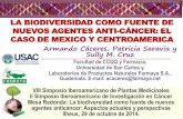Presentación de PowerPoint - Univali · Universidad de San Carlos y Laboratorios de Productos Naturales Farmaya S.A., ... E-mail: acaceres@farmaya.net VIII Simposio Iberoamericano