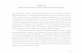 Capítulo IV Efectos de las remesas en el desarrollo ...catarina.udlap.mx/u_dl_a/tales/documentos/mes/barrero_s_a/capitulo... · migratorio mexicano y la organización de migrantes