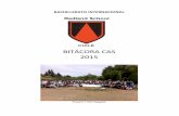 BITÁCORA CAS 2015 - redland.clredland.cl/wp-content/descargables/cas/manual_cas_2015.pdf · B.2. REVISIÓN DE BITACORA C.A.S. 14 B.3. BITÁCORAS CAS 14 B.4. ENSAYO CAS B.5. ... del