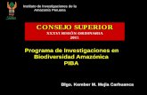 Programa de Investigaciones en Biodiversidad Amazónica PIBA - … · Ecología de sistemas productivos tradicionales ... “Cuentos Ecológicos ... conservación productiva y gestión