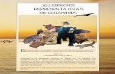 101 ESPECIES REPRESENTATIVAS DE COLOMBIA · deposita en las bromelias (plantas que por su forma guardan agua en su interior). Las poblaciones estan siendo sometidas al tráfico de