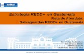 Estrategia REDD+ en Guatemala - Ministerio de Ambiente y ... · Salvaguardas REDD+ en Guatemala Por: Carlos R. Bonilla A. Coordinador REDD+ ... –Promover los beneficios que van