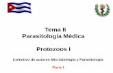 Tema II Parasitología Médica Protozoos I - uvsfajardo.sld.cuuvsfajardo.sld.cu/sites/uvsfajardo.sld.cu/files/vii_protozoos... · Generalmente se detienen en la muscular, pero pueden