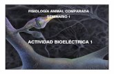 FISIOLOGÍA ANIMAL COMPARADA SEMINARIO 1 I.pdf · SEMINARIO 1 ACTIVIDAD BIOELÉCTRICA 1. Distribución asimétrica de iones Permeabilidad selectiva - Soluciones intracelular y extracelular