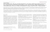 Artículo original Prevalencia de la maloclusión en tres ...bibliotecadigital.univalle.edu.co/bitstream/10893/8931/1... · 26 Revista Estomatología Prevalencia de la maloclusión
