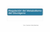 Regulación del Metabolismo del Glucógeno · glucogenólisis y la glucolisis en el músculo durante el ejercicio ... Calambres y astenia inducidos por el ejercicio VI Hers Fosforilasa