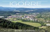 2018 - 2019 IGORRE · de árboles y zonas verdes. ... en especial de Andalucía y Castilla y León atraída por la actividad ... por especies arbóreas (utilizadas en serrerías)