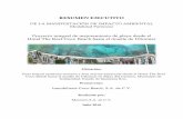 Proyecto integral de mejoramiento de playa desde el Hotel ...apps1.semarnat.gob.mx/dgiraDocs/documentos/qroo/resumenes/2016/23... · Resumen Ejecutivo de la MIA-P Proyecto integral