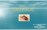 DENGUE PRESENTACION [Modo de compatibilidad] · El diagnóstico del Dengue, se realiza con la integración de las características clínicas de la enfermedad y el estudio serológico