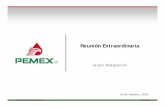 Grupo Designación - PEMEX · Planteamiento sobre la naturaleza de los procesos de procura, abastecimiento o contratación en los que el solicitante considere tiene las