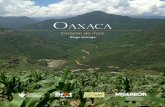 Folleto La milpa OaxacaEceccam.org/./sites/default/files/Oaxaca_corazon_de_maiz.pdf · PRESENTACIÓN La milpa es el sistema agrícola mesoamericano por excelencia, caracterizada por