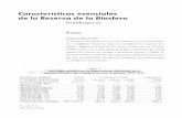 Caracteristicas esenciales de la Reserva de la Biosferahorizon.documentation.ird.fr/exl-doc/pleins_textes/divers15-11/... · los relieves, puede ser alterado ... produciendo los eventos