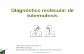 Diagnóstico molecular de tuberculosis - fai.org.co · ›Pruebas rápidas a partir de muestras clínicas. ›Diferencian e identifican microorganismos. ›Detectan microorganismos
