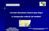 Corredor Bioceánico Central agua Negra La Integración cultural … · 2013-09-09 · los actores y habitantes del Corredor Bioceánico Central Agua Negra. 2.1. Una visión común