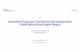 Reunión Programa Territorial de Integración Túnel Binacional … · 2017-10-10 · Agua Negra y el desarrollo del Corredor Bioceánico Central Coquimbo-Porto Alegre Objetivos Específicos