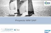 Proyecto WM SAP - rfid-consultsmex.com.mx · La aplicación de WM está integrada dentro del sitema SAP 4.6, las transacciones que se inician en otros módulos de SAP, disparan o