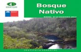 Boletín N°14 Diciembre 2017 - biblioteca.infor.clbiblioteca.infor.cl/DataFiles/32093.pdf · La producción de madera aserrada de especies nativas en el 2016 alcanzó a 118.615 m3,