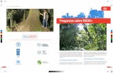 Preguntas sobre REDD+ - infona.gov.py · de efecto invernadero, son el cambio del uso del suelo, la deforestación y la degradación forestal. ... CARTILLA N° 6 PREGUNTAS SOBRE REDD+
