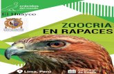 Curso de Zoocria en Rapaces - cracidos.weebly.com · Curso teórico/práctico que presenta las aves rapaces de Perú en los distintos ámbitos de su aprovechamiento, conservación