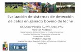 Manejo reproductivo en el ganado bovino de leche · Evaluación de sistemas de detección de celos en ganado bovino de leche Dr. Oscar Peralta T., MV, MSc, PhD Profesor Asistente