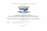 UNIVERSIDAD REGIONAL AUTÓNOMA DE LOS ANDES - DSpace en …dspace.uniandes.edu.ec/bitstream/123456789/4201/1/TUAEXCOMMEQ005... · MAESTRÍA EN ENFERMERÍA QUIRÚRGICA PROYECTO DE